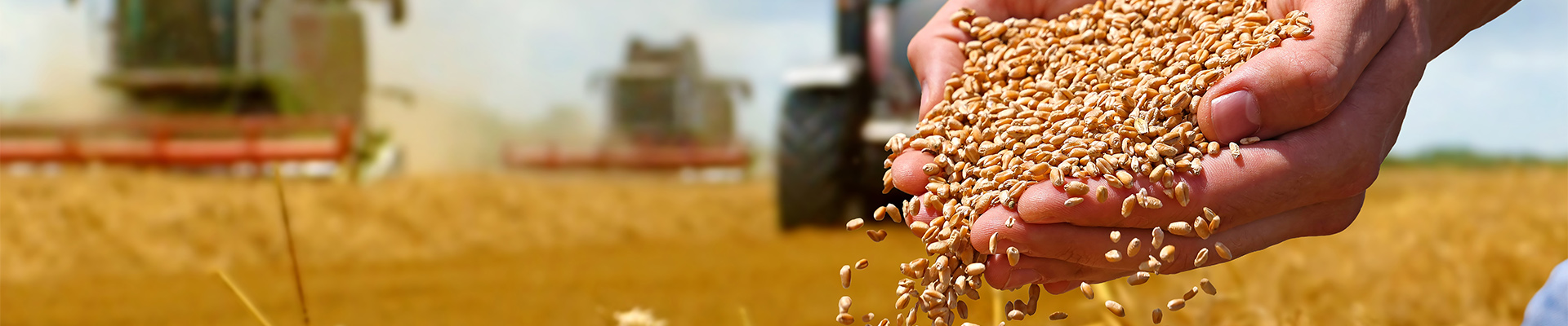 Turnkey Grain Processing Services