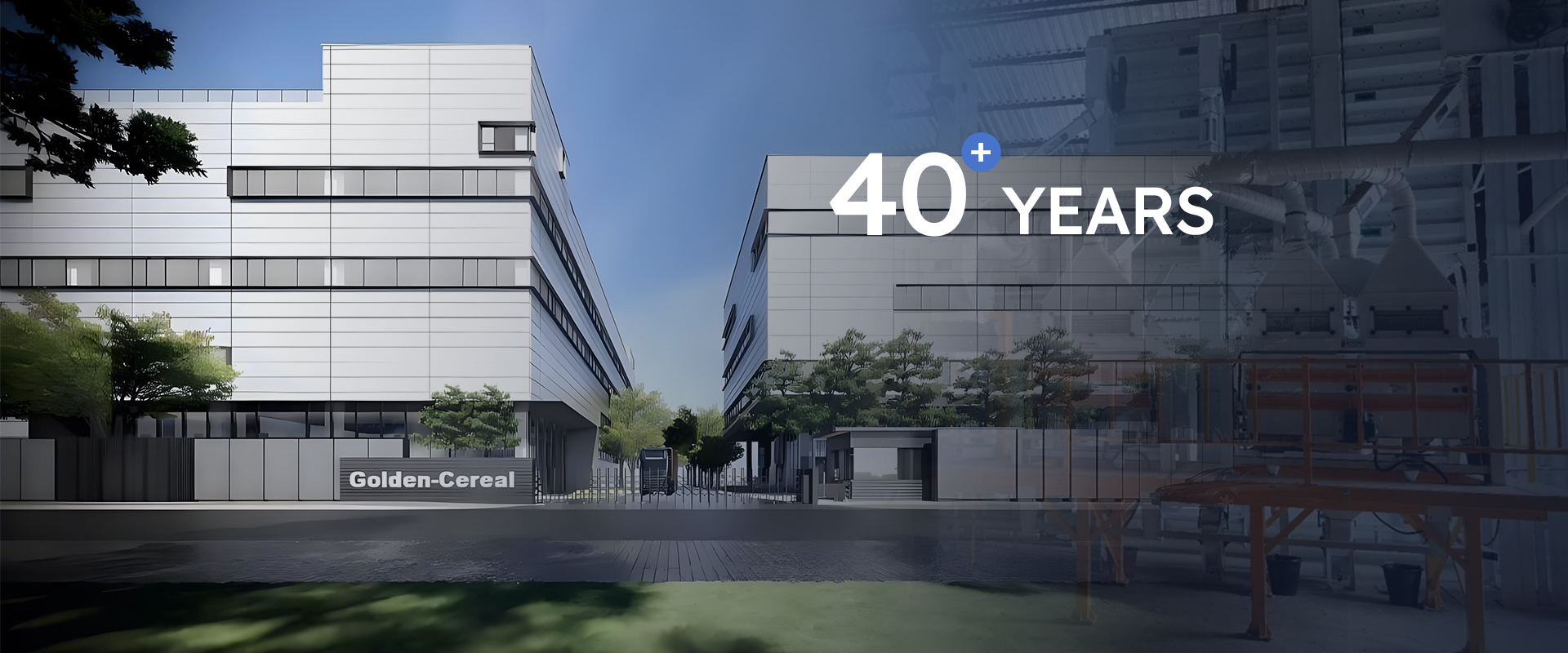 Golden-Cereal grain processing machinery manufacturer with 40+ years engineering experience